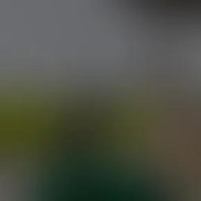 1000138049.mp4