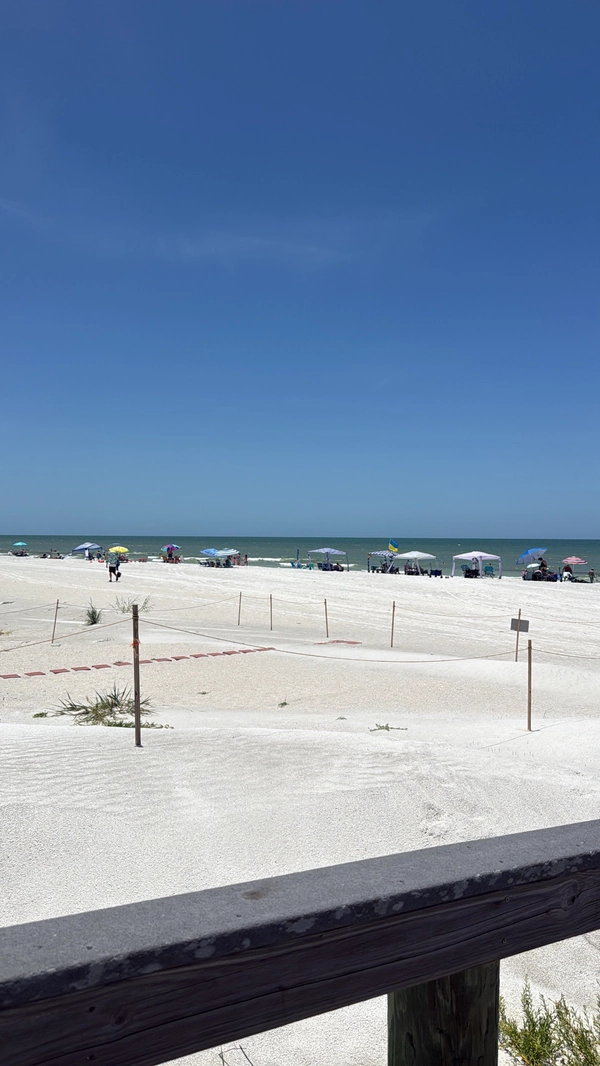 e5507a1e-425a-455d-b4fb-073fe0305126.jpg