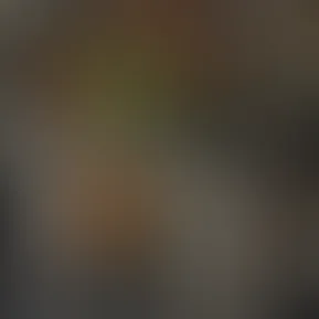 بتحبو التسوق او لاء ؟ 🛍️