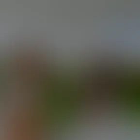 facetune_14-03-2025-14-22-19.jpg