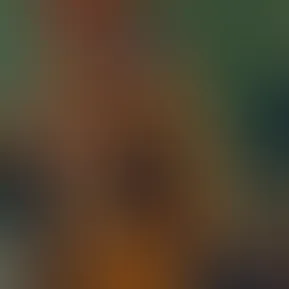 wyd?