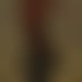 img_6086.mp4