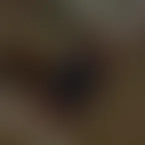 0b47a05bf14d4308ba023b1dd3fd6fce.mov