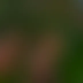 FullSizeRender.jpg