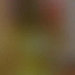 🤗🤗