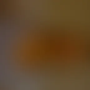 8ada92df-e64c-4302-ae17-e01690f051c8.mp4