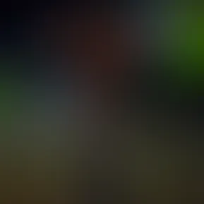 818ecdf94838405f9e94457aa787e30f.mov