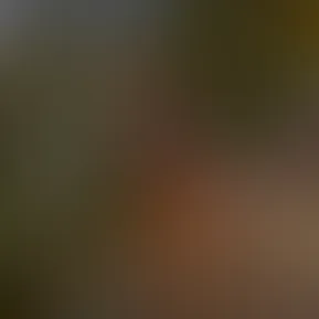 soda1737785519.jpg