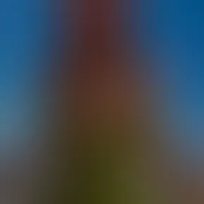 19e77208b8364b42b1d299928b1050f8.mov
