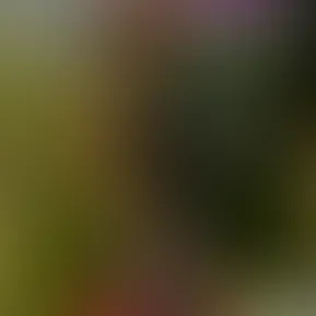 Facetune_06-05-2024-23-14-47.jpg