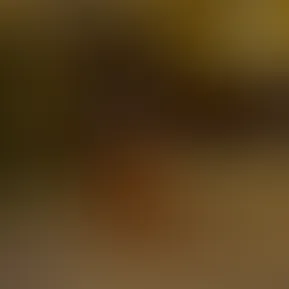 _04-09-2025-18-42-01.jpg
