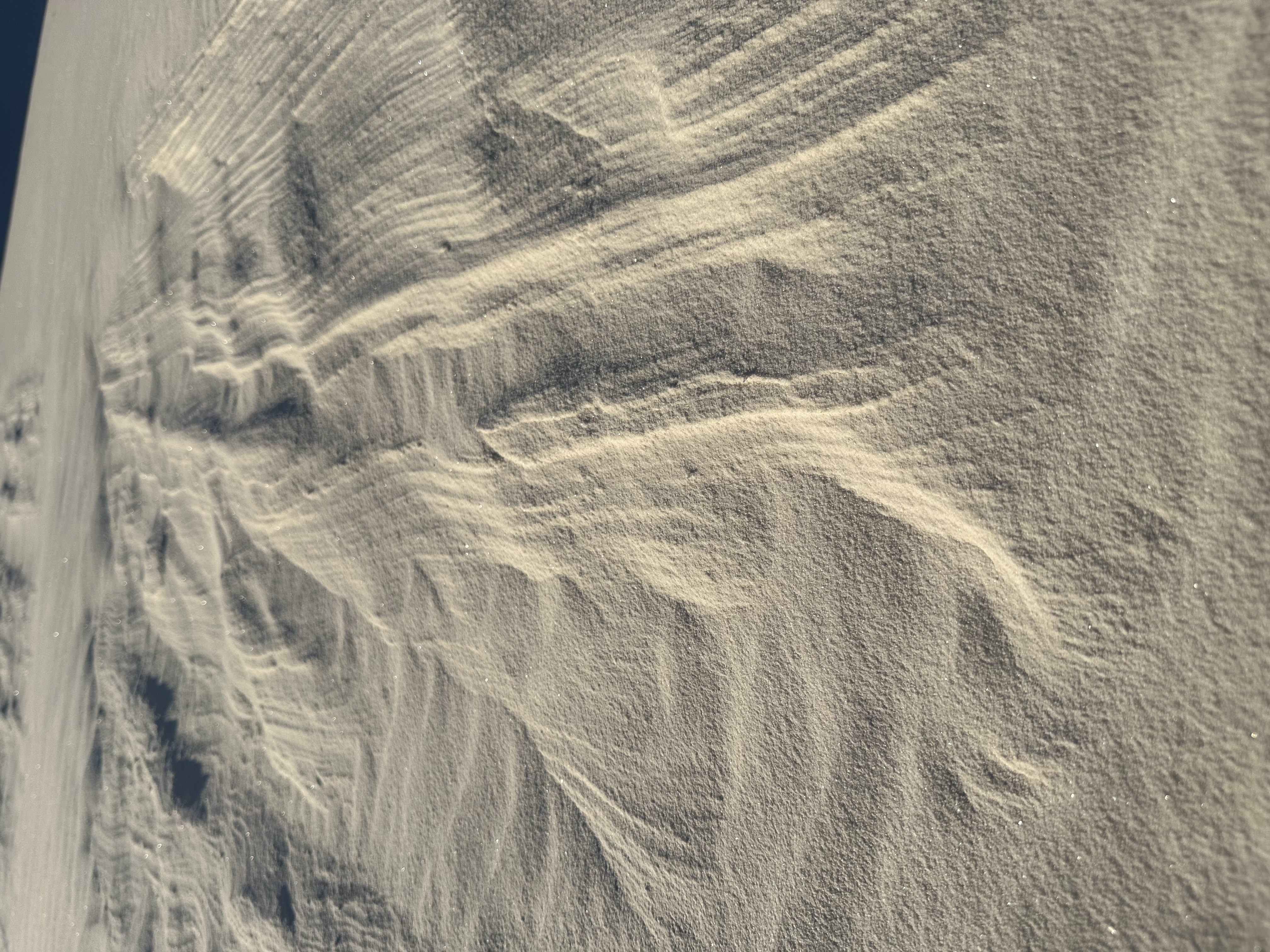 Writing up content ideas for you all 😜

Actually I’m still integrating my time in the desert… swipe to see some of my favorite textures! 
