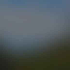 1000068881.jpg