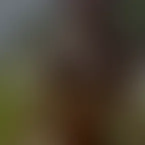 hehe tanning.mov